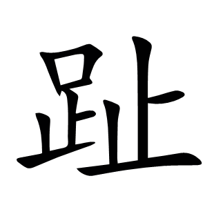 趾