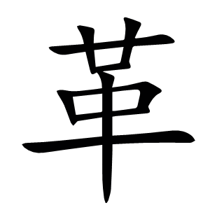 革