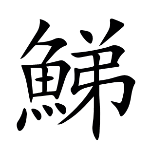 鮷