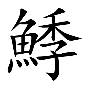 鯚