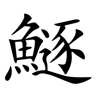 鱁