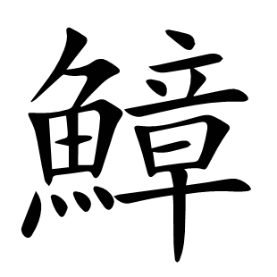 鱆