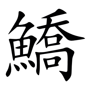 鱎