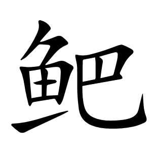 鲃