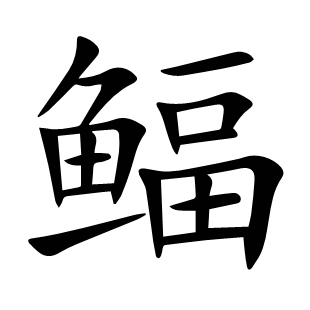 鲾