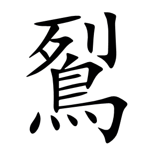 鴷