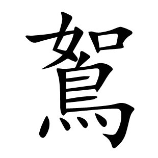 鴽