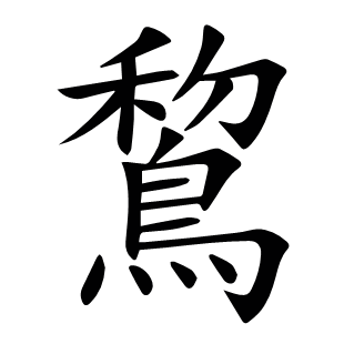 鵹