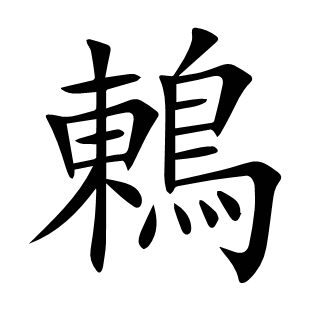 鶇