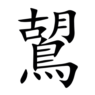 鶦