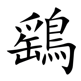 鷂