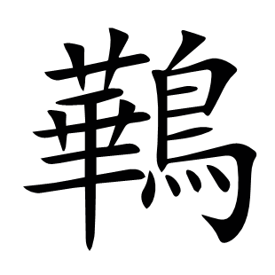 鷨