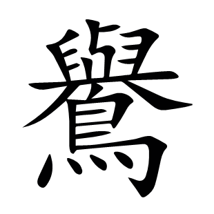 鸒