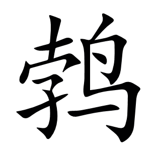 鵓
