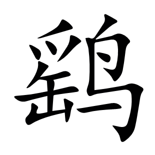 鷂