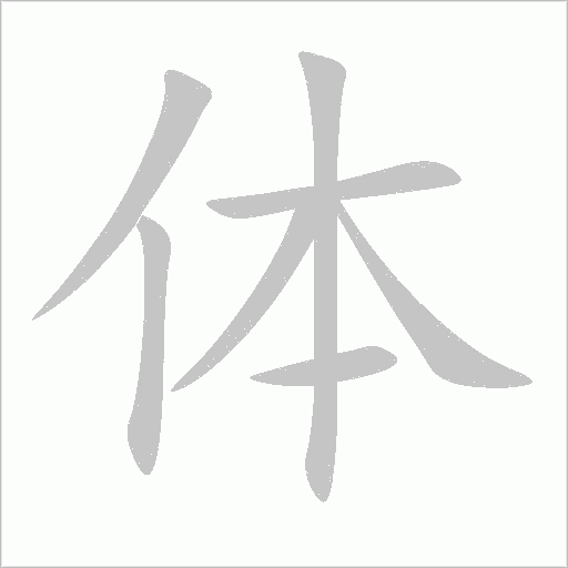 體