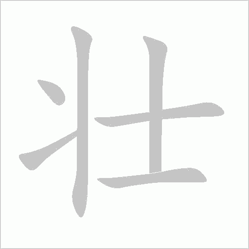壯