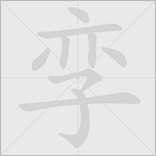孿