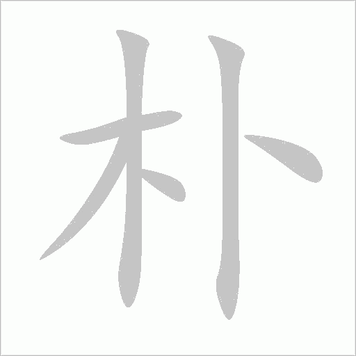 樸