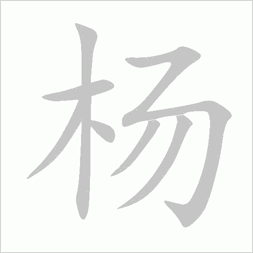 楊