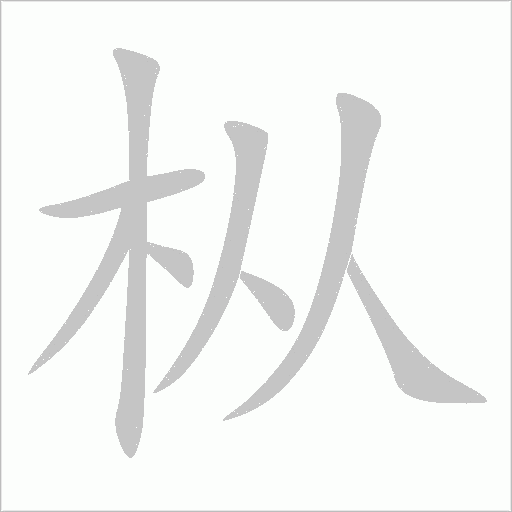 樅
