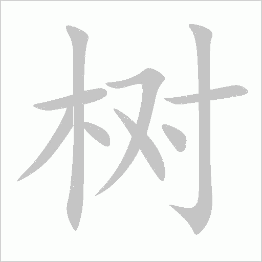 樹