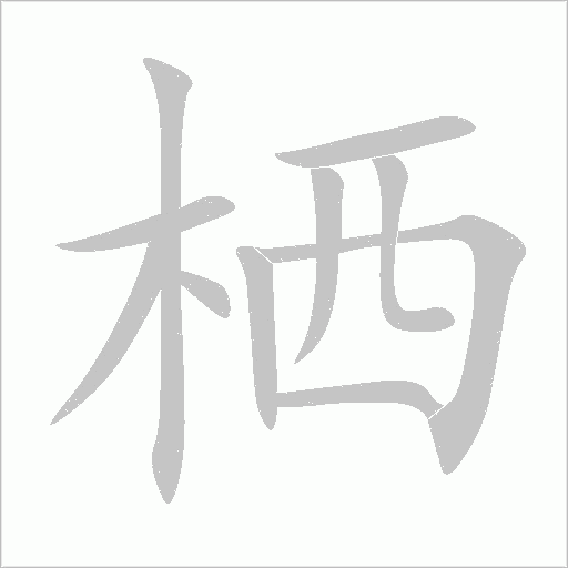 棲