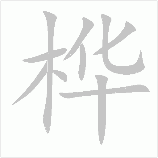樺