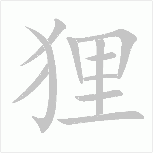 貍