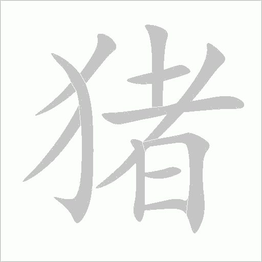 豬