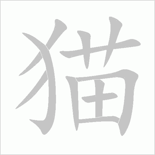 貓