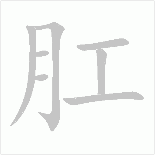 肛