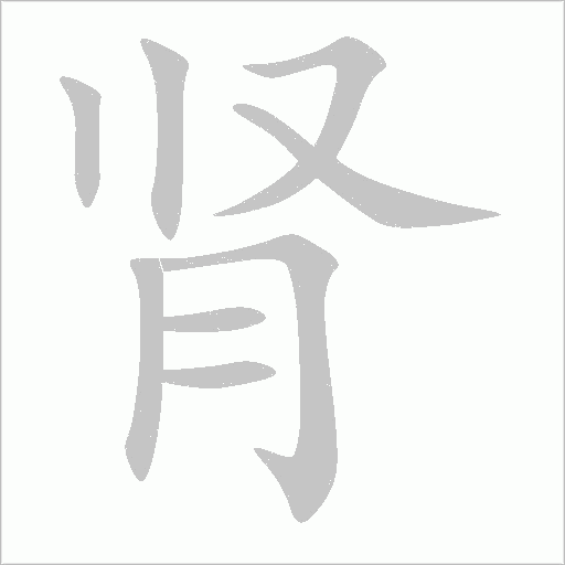 腎