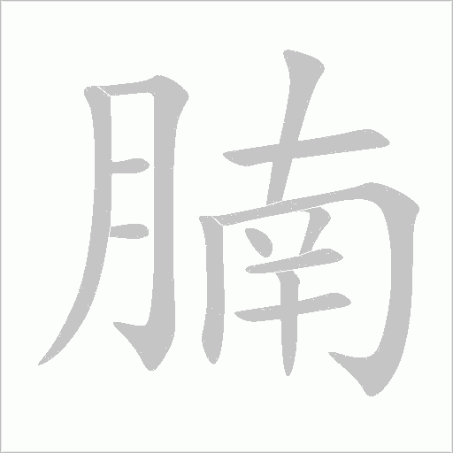 腩