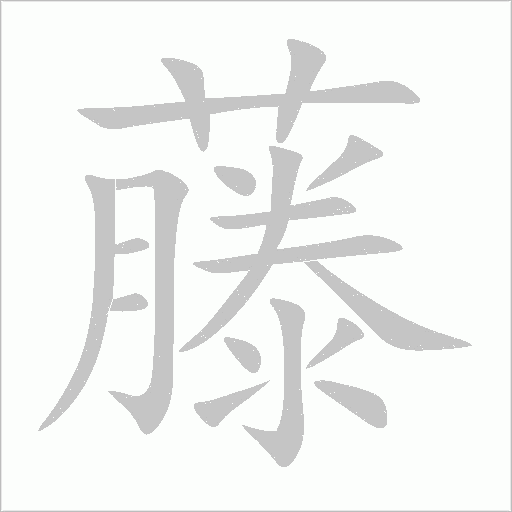 藤