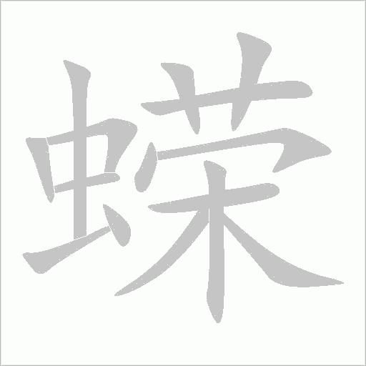 蠑
