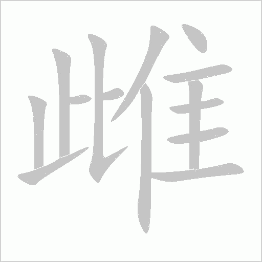 雌