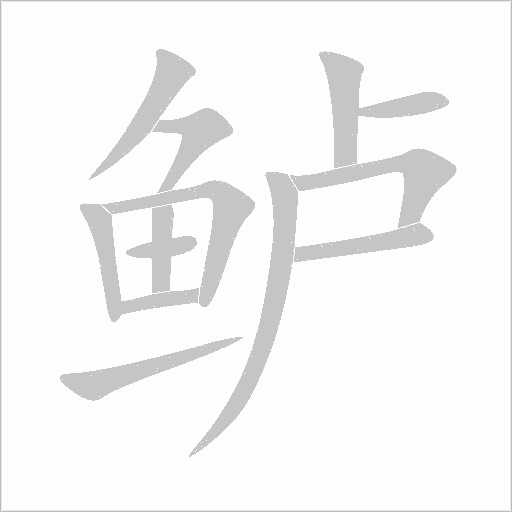 鱸