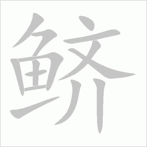 鱭