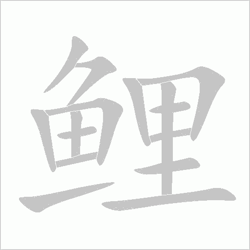 鯉