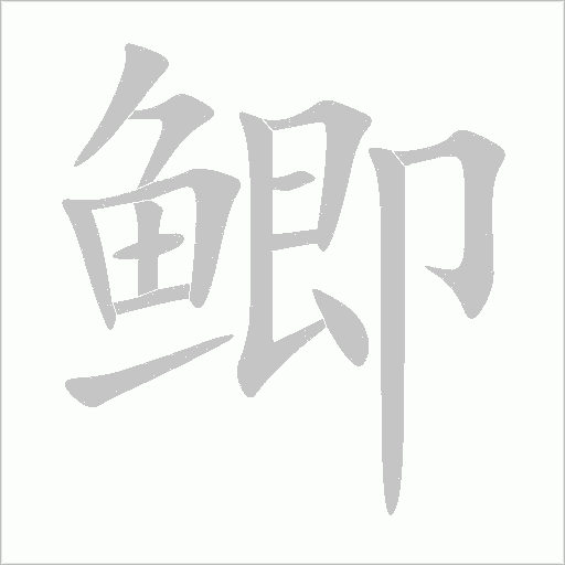 鯽