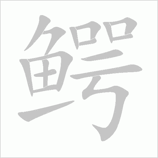 鱷