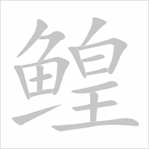 鰉