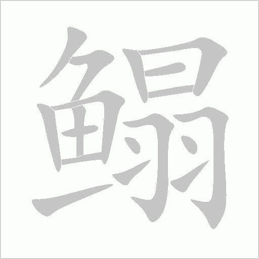 鰨