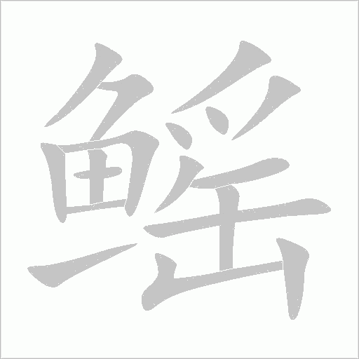 鰩