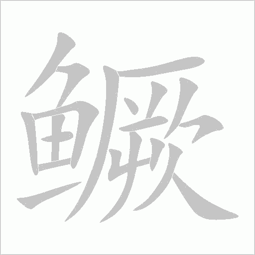鱖