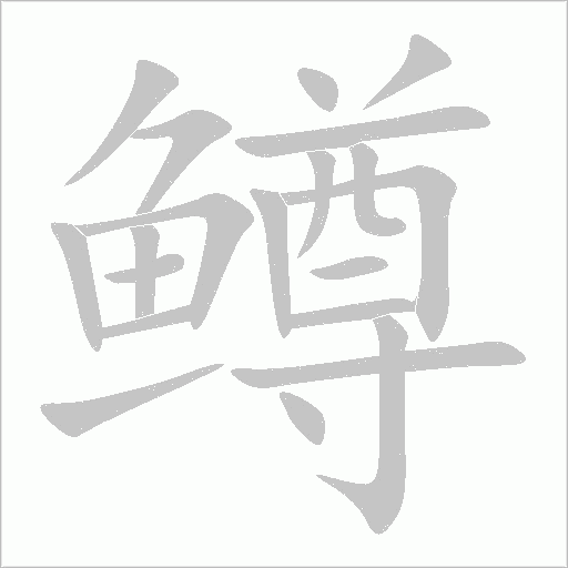 鱒