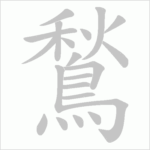 鶖
