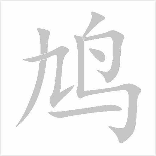 鳩
