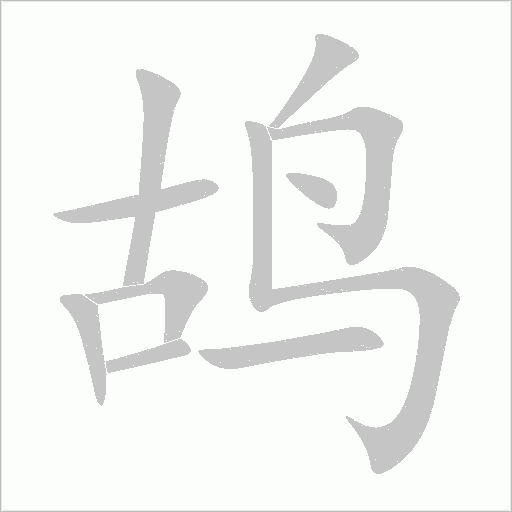 鴣